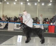 Превью фото № 120171