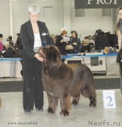 Превью фото № 120198