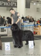 Превью фото № 120199