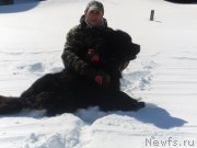 Превью фото № 120214