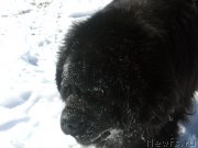 Превью фото № 120222