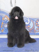 Превью фото № 120238