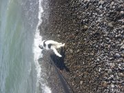 Превью фото № 120247