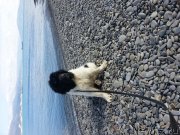 Превью фото № 120251