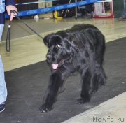 Превью фото № 120290