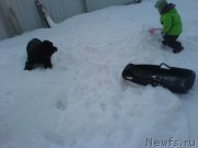 Превью фото № 120292