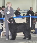 Превью фото № 120295