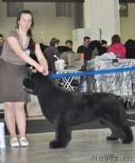 Превью фото № 120299