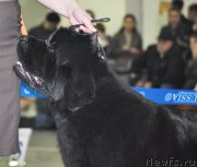 Превью фото № 120302