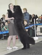 Превью фото № 120307