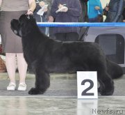 Превью фото № 120310