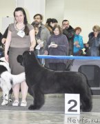 Превью фото № 120311