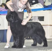 Превью фото № 120317