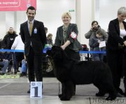 Превью фото № 120322