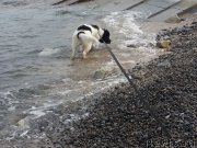 Превью фото № 120371