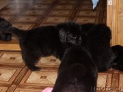 Превью фото № 120420