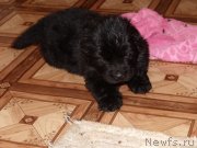 Превью фото № 120421