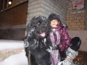 Превью фото № 120442