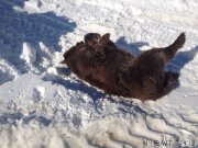 Превью фото № 120512