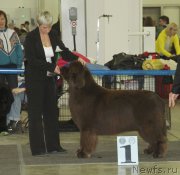 Превью фото № 120519