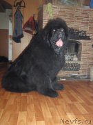 Превью фото № 120557