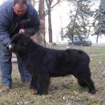 Превью фото № 1206