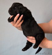 Превью фото № 120728