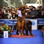 Превью фото № 120738