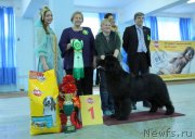 Превью фото № 120751