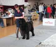 Превью фото № 120791