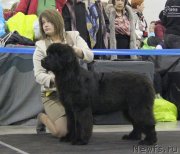 Превью фото № 120795