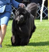 Превью фото № 120801