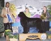 Превью фото № 120803