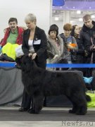 Превью фото № 120813