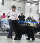 Превью фото № 120815