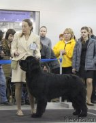 Превью фото № 120816