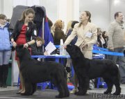 Превью фото № 120822