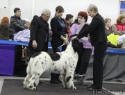 Превью фото № 120825