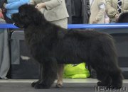 Превью фото № 120832