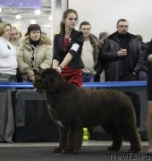 Превью фото № 120834