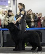 Превью фото № 120839