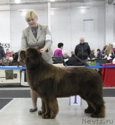 Превью фото № 120842