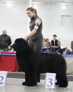 Превью фото № 120844