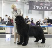 Превью фото № 120845