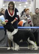 Превью фото № 120846