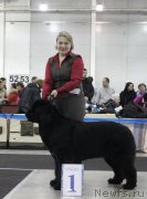 Превью фото № 120854