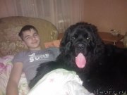 Превью фото № 120892