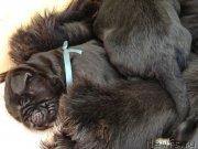 Превью фото № 120899