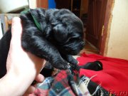 Превью фото № 120912