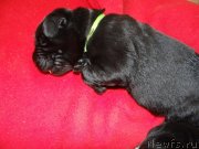 Превью фото № 120913